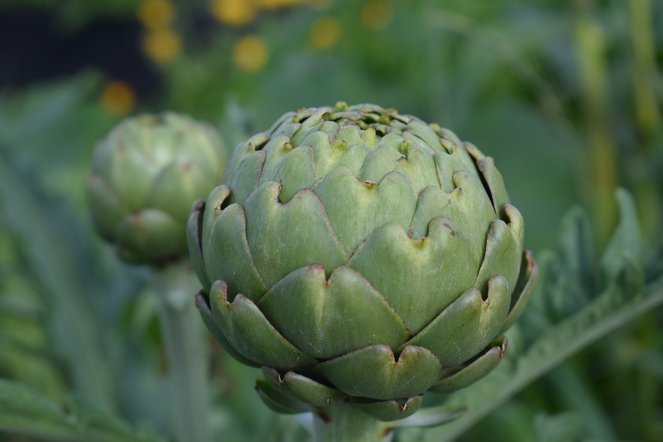 Green Globe
